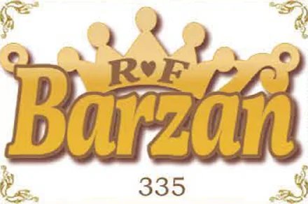 Design 335 — Barzan, a custom gold name plate cut by Royal Jewelry